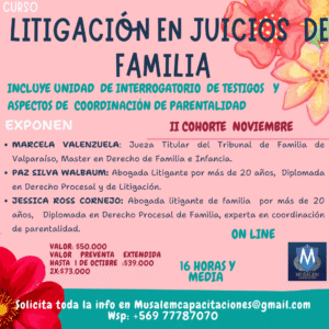 CURSO LITIGACIÓN  EN JUICIOS DE FAMILIA
