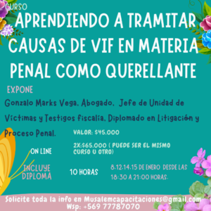 CURSO APRENDIENDO A TRAMITAR CAUSAS DE VIF EN MATERIA PENAL COMO QUERELLANTE