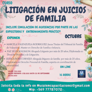 CURSO LITIGACIÓN EN PROCEDIMIENTO ORDINARIO DE FAMILIA DESDE CERO